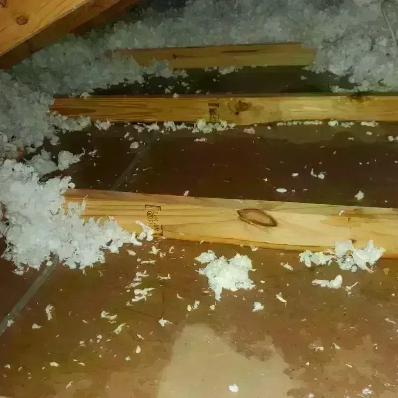 Attic Water Damage in Humansville, MO