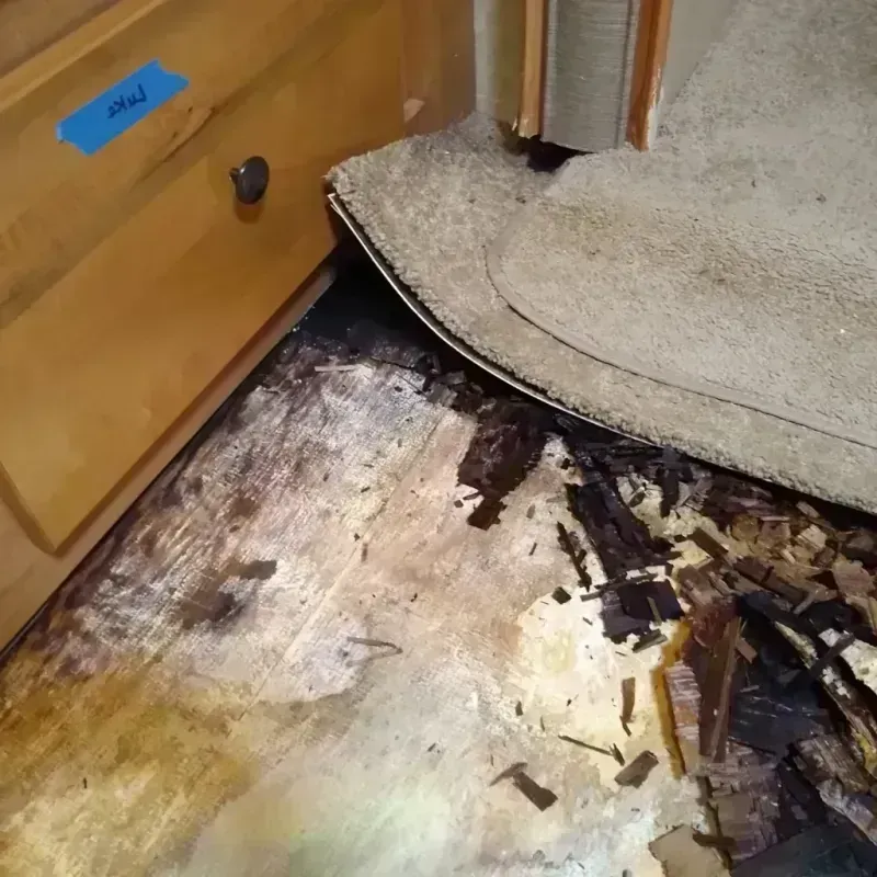 Wood Floor Water Damage in Humansville, MO